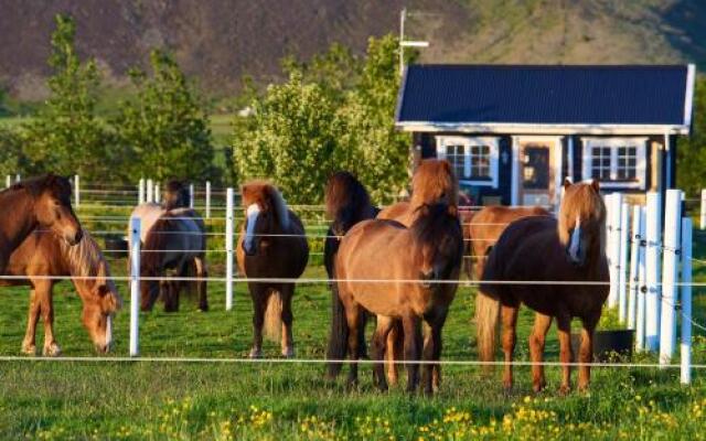 Akurgerði Guesthouse 2 - Country Life Style