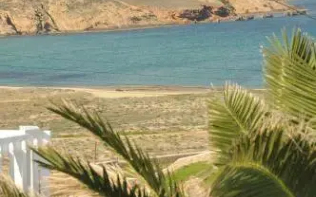 Ftelia View