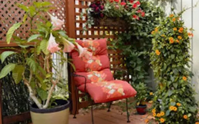 Yellow Door Bed and Breakfast