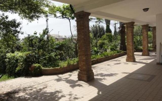 Le Ortensie Di Teresa