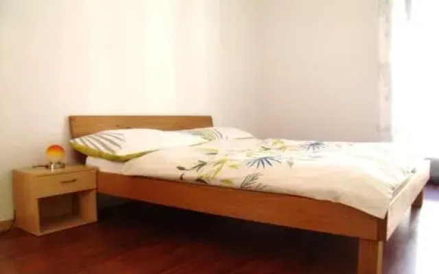 Swiss Holidays Apartment Rosenstrasse 10