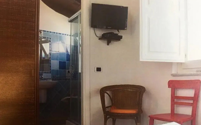 B&B Amphisya