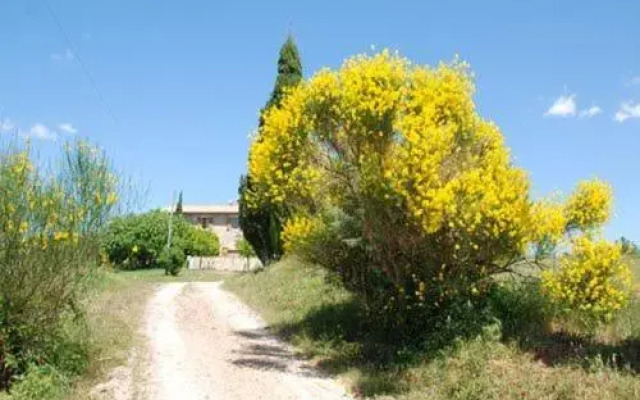 Agriturismo Montecchio