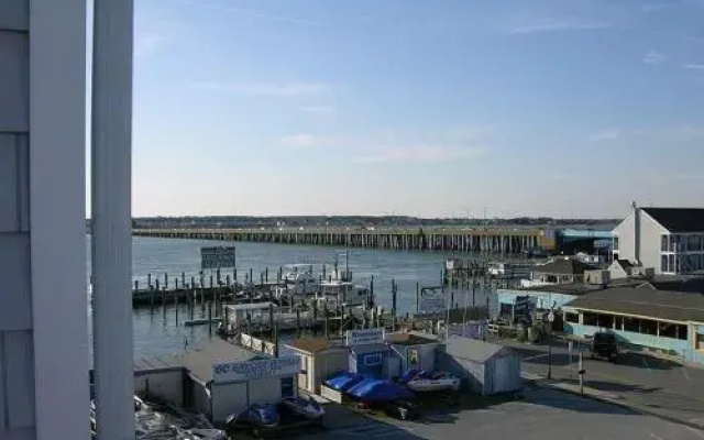 White Marlin 304A 1 Br condo by RedAwning