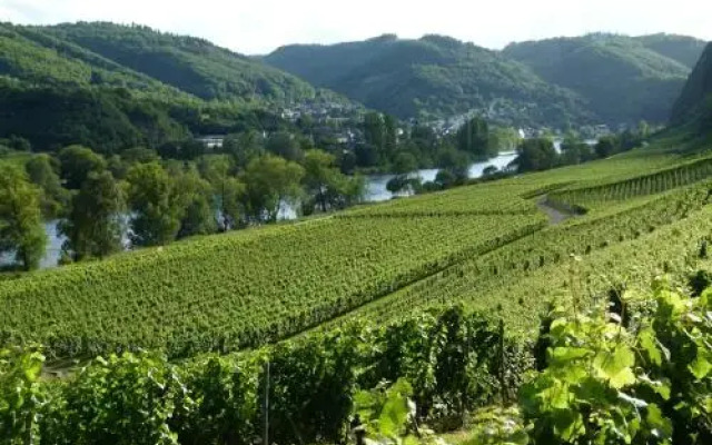 Mosel-Apart Rudorfer