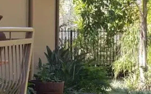 Evening Primrose B&B