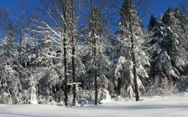 Madawaska Lodge-Camping Cabins