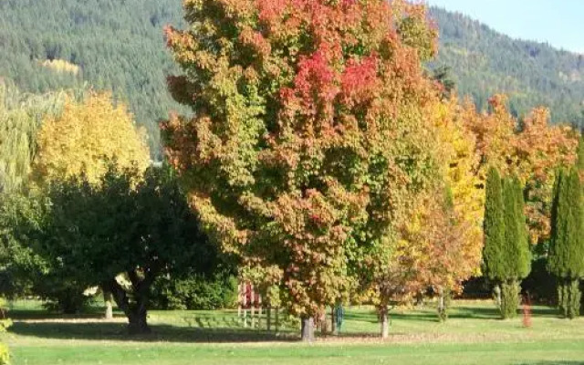 Bavarian Orchard Motel