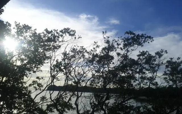 Magic Island Resort 1