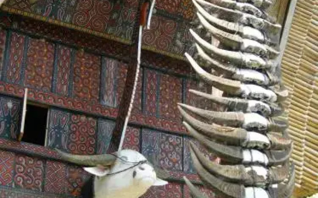 Tongkonan Layuk Lion