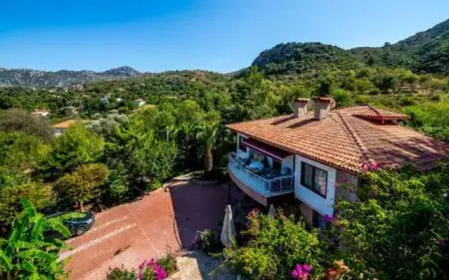 Palmetto Vip Villa