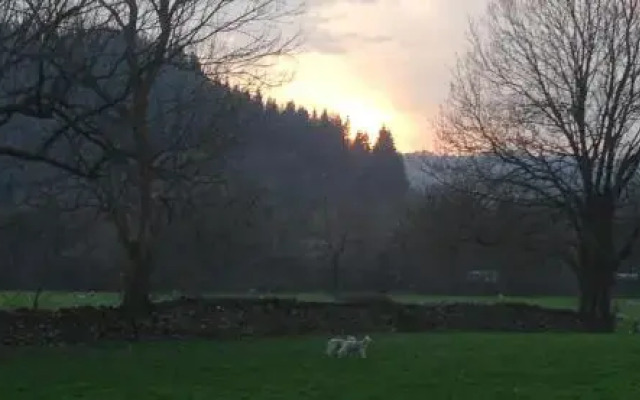 Tyddyn Bach Cottage & Bunk Huts
