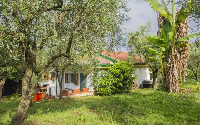 Holiday home Il Banano Massarosa