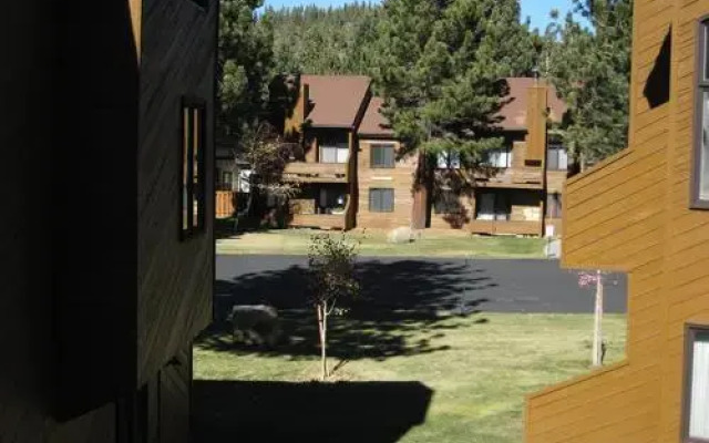 Timberline 52