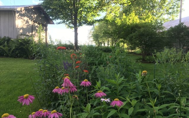 Gite Au Vieux Presbytère