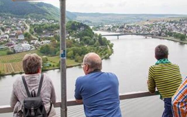 Weingut Frick in Mehring