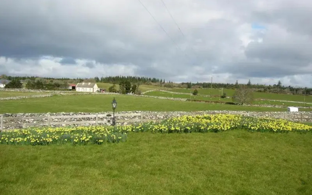 Inishfree House B&B