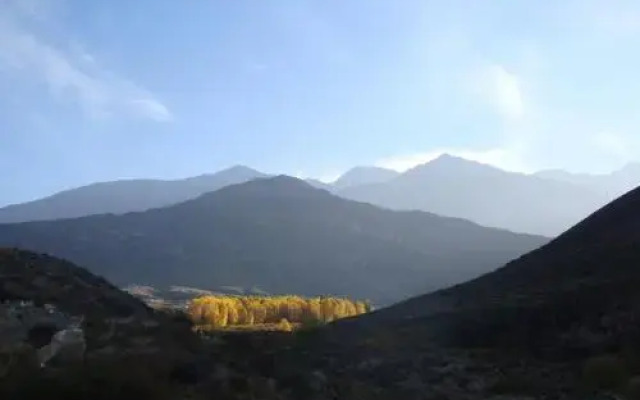 Las Margaritas