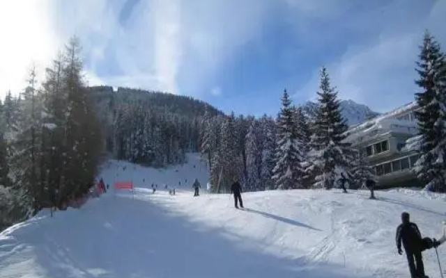 Marilleva 1400 Appartamenti Montana