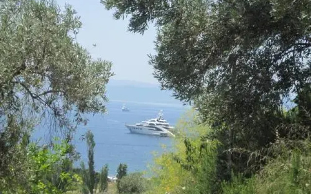 Kolios View Studios