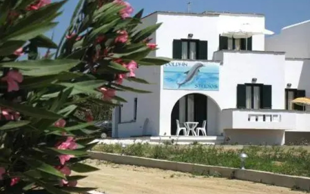Dolphin Studios