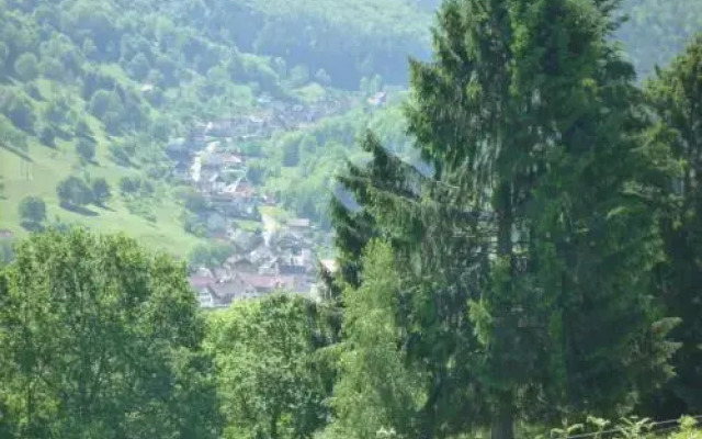 Maison D'hôtes Du Landersbach