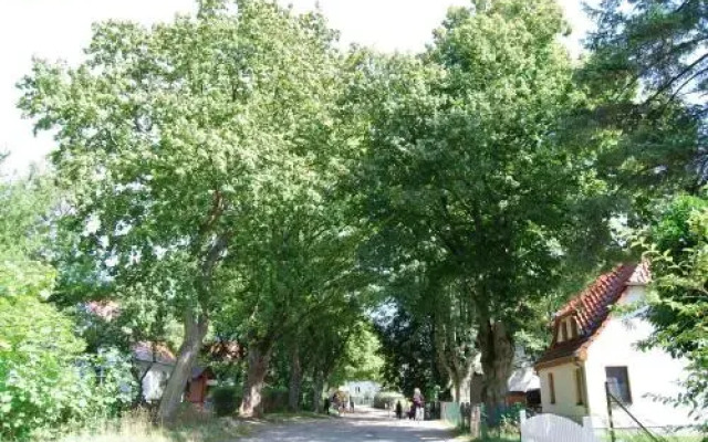 Hotel Hiddensee "Enddorn"