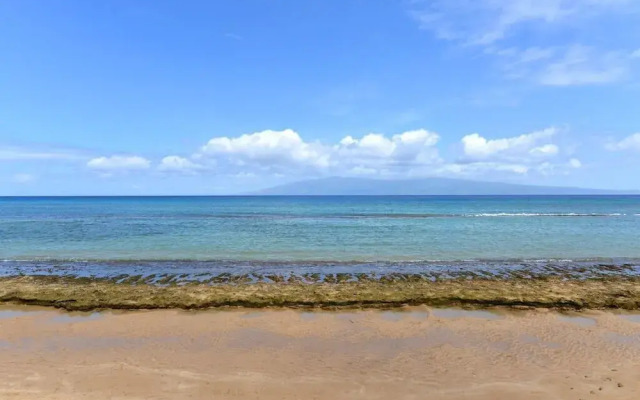 Paki Maui 414 by RedAwning