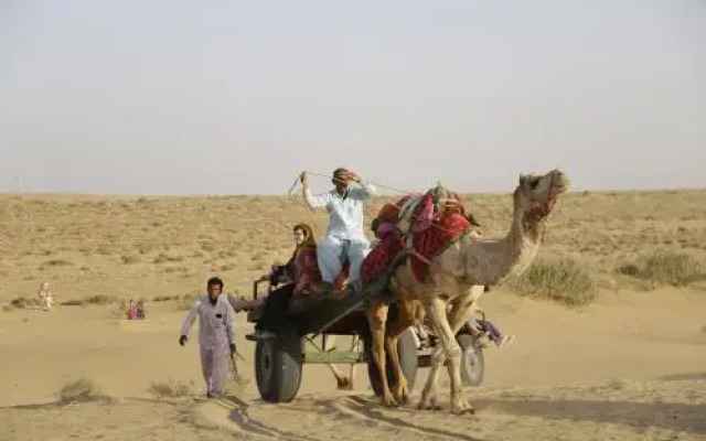Camel Safari Dunes Camp