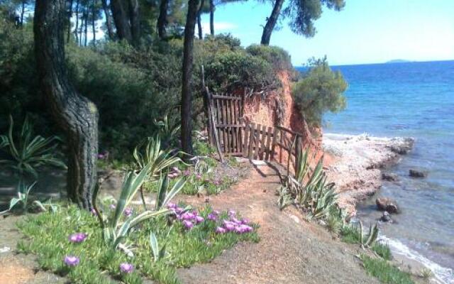 Sea And House