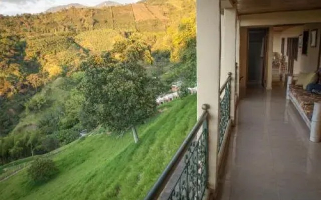 Panorama Café Hostel