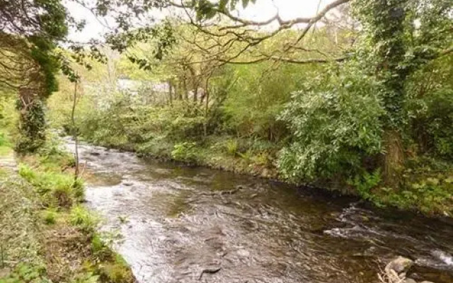 Dolgoch Falls