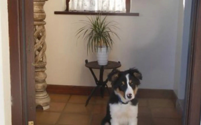 Doolin Cottage B&B