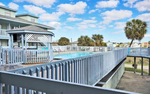 Cove by Youngs Suncoast