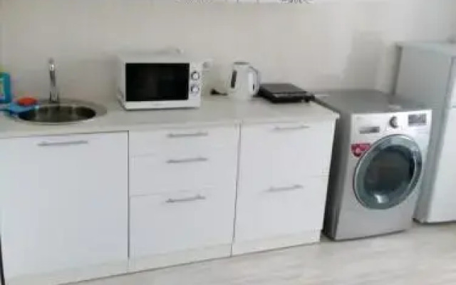 Apartment Irkutsk