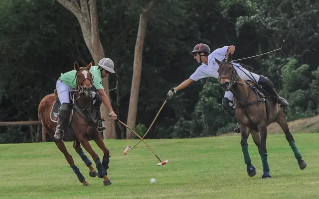 Bellevue Plantation & Polo Club