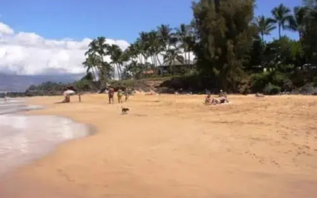 Maui Vista #2-213