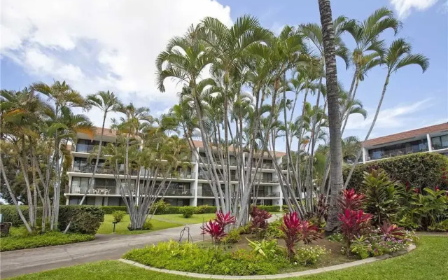 Maui Parkshore 202 - 2 Br Condo