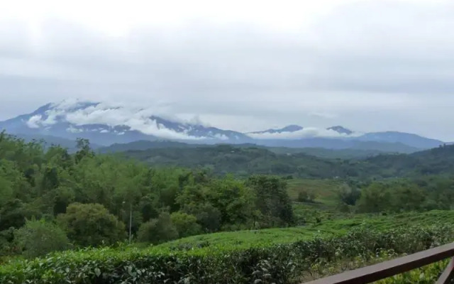 Sabah Tea Garden @ Cottages