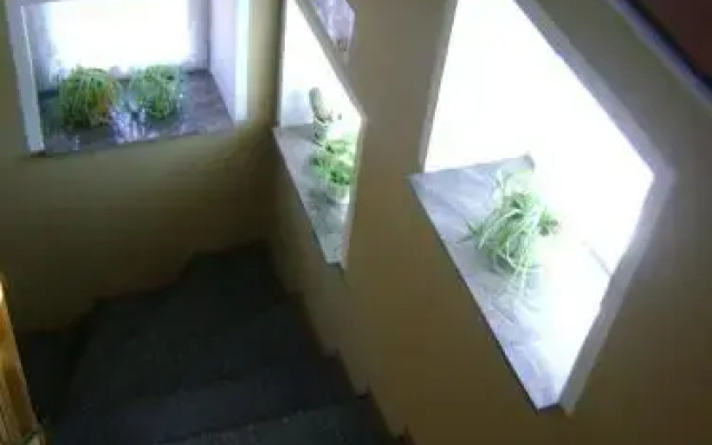 Hostel Promyk