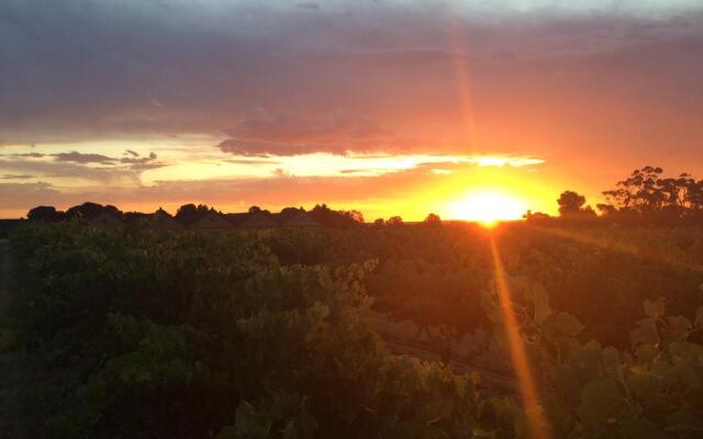 Barossa Vineyard Guesthouse