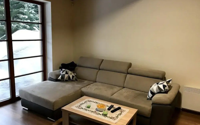 Apartmán Říčky