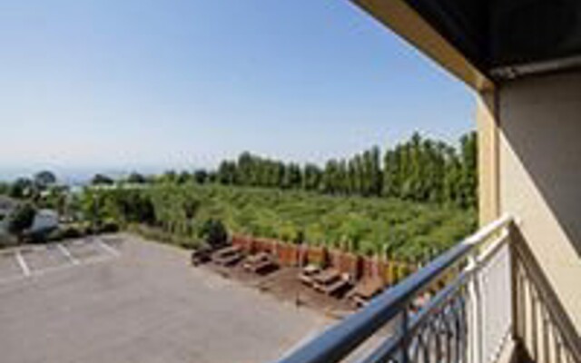 Seogwipo Sangchoone Pension