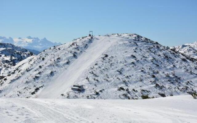 Hüttenresort Feuerkogel