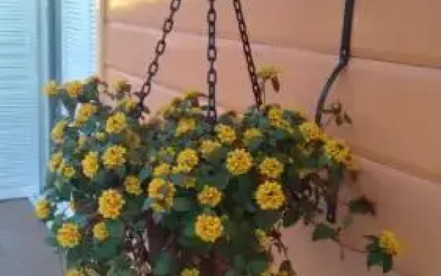Apartamentos Aromas de Gramado