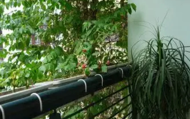 Yen Homestay