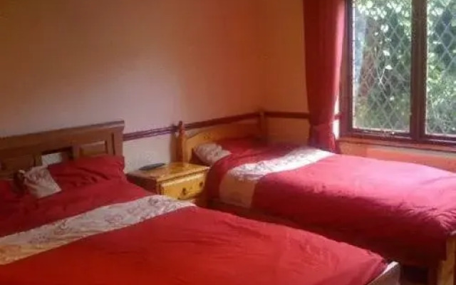 Newcourt B & B