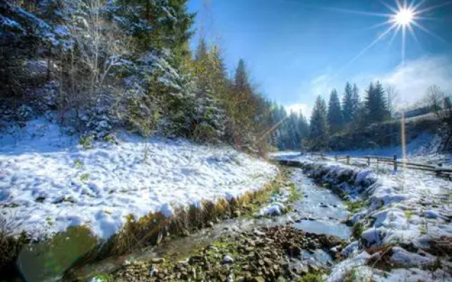 Sadyba Karpaty