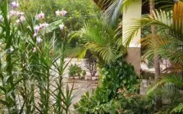 Pousada Lirio do Vale