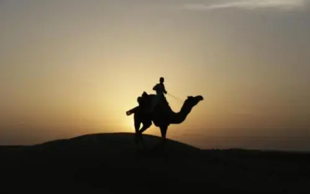 Camel Safari Dunes Camp